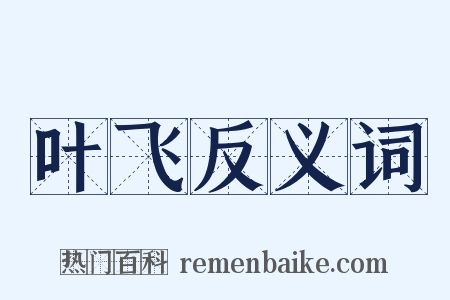 叶飞反义词是什么意思的图片